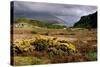 Loch Maree, Highland, Scotland-Peter Thompson-Stretched Canvas