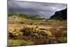 Loch Maree, Highland, Scotland-Peter Thompson-Mounted Photographic Print