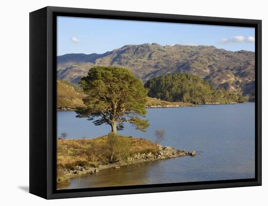 Loch Morar, Highlands, Scotland, United Kingdom, Europe-Gary Cook-Framed Stretched Canvas