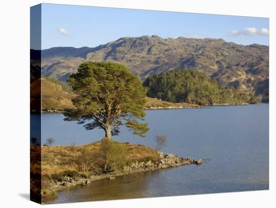 Loch Morar, Highlands, Scotland, United Kingdom, Europe-Gary Cook-Stretched Canvas