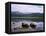 Loch Morlich and the Cairngorms, Aviemore, Highland Region, Scotland, United Kingdom-Roy Rainford-Framed Stretched Canvas