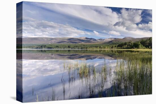 Loch Morlich, Glenmore, Badenoch and Strathspey, Scotland, United Kingdom, Europe-John Potter-Stretched Canvas