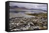 Loch Na Keal, Near Kellan, Isle of Mull, Inner Hebrides, Argyll and Bute, Scotland, United Kingdom-Gary Cook-Framed Stretched Canvas