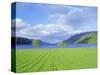 Loch Ness from the Western End, Highlands Region, Scotland, UK, Europe-I Vanderharst-Stretched Canvas