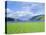 Loch Ness from the Western End, Highlands Region, Scotland, UK, Europe-I Vanderharst-Stretched Canvas