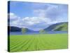 Loch Ness from the Western End, Highlands Region, Scotland, UK, Europe-I Vanderharst-Stretched Canvas