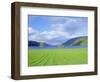 Loch Ness from the Western End, Highlands Region, Scotland, UK, Europe-I Vanderharst-Framed Photographic Print