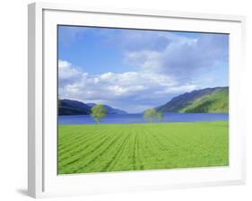 Loch Ness from the Western End, Highlands Region, Scotland, UK, Europe-I Vanderharst-Framed Photographic Print