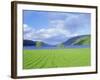 Loch Ness from the Western End, Highlands Region, Scotland, UK, Europe-I Vanderharst-Framed Photographic Print