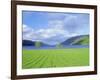 Loch Ness from the Western End, Highlands Region, Scotland, UK, Europe-I Vanderharst-Framed Photographic Print