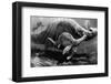 Loch Ness Monster and Young-null-Framed Photographic Print