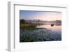 Loch Rusky, Perthshire, Scotland, United Kingdom, Europe-Karen McDonald-Framed Premium Photographic Print