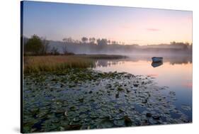 Loch Rusky, Perthshire, Scotland, United Kingdom, Europe-Karen McDonald-Stretched Canvas