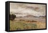 Loch Strivan-William Davis-Framed Stretched Canvas