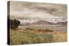 Loch Strivan-William Davis-Stretched Canvas