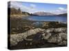 Loch Sunart, Looking East, Argyll, Scotland, United Kingdom, Europe-Toon Ann & Steve-Stretched Canvas