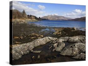 Loch Sunart, Looking East, Argyll, Scotland, United Kingdom, Europe-Toon Ann & Steve-Stretched Canvas