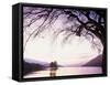 Loch Tay in the Evening, Tayside, Scotland, United Kingdom-Kathy Collins-Framed Stretched Canvas