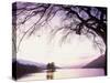 Loch Tay in the Evening, Tayside, Scotland, United Kingdom-Kathy Collins-Stretched Canvas