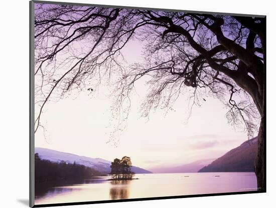 Loch Tay in the Evening, Tayside, Scotland, United Kingdom-Kathy Collins-Mounted Photographic Print