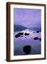 Brown Frame