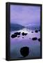 Essential Black