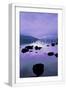 White Frame