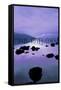Canvas Black