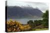 Loch Torridon and Liathach, Highland, Scotland-Peter Thompson-Stretched Canvas
