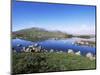 Lochan Na H-Achlaise, Rannoch Moor, Black Mount in the Background, Highland Region, Scotland-Lousie Murray-Mounted Photographic Print