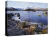 Lochan Na H-Achlaise, Rannoch Moor, Strathclyde, Highlands Region, Scotland, UK, Europe-Kathy Collins-Stretched Canvas