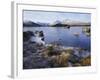 Lochan Na H-Achlaise, Rannoch Moor, Strathclyde, Highlands Region, Scotland, UK, Europe-Kathy Collins-Framed Photographic Print