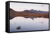 Lochan Na h-Achlaise Reflecting the Surrounding Mountains on Rannoch Moor, Scotland, UK-Julian Elliott-Framed Stretched Canvas