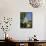 Loches, Touraine, Centre, France, Europe-Sylvain Grandadam-Framed Stretched Canvas displayed on a wall