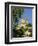 Loches, Touraine, Centre, France, Europe-Sylvain Grandadam-Framed Photographic Print