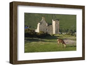 Lochranza Castle, Arran, North Ayrshire, Scotland-Peter Thompson-Framed Photographic Print