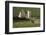 Lochranza Castle, Arran, North Ayrshire, Scotland-Peter Thompson-Framed Photographic Print