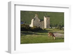 Lochranza Castle, Arran, North Ayrshire, Scotland-Peter Thompson-Framed Photographic Print