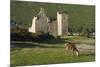 Lochranza Castle, Arran, North Ayrshire, Scotland-Peter Thompson-Mounted Photographic Print