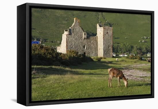 Lochranza Castle, Arran, North Ayrshire, Scotland-Peter Thompson-Framed Stretched Canvas