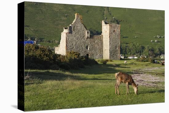 Lochranza Castle, Arran, North Ayrshire, Scotland-Peter Thompson-Stretched Canvas