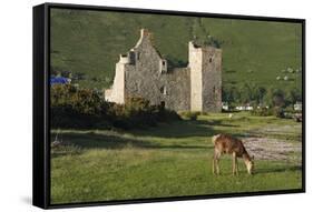 Lochranza Castle, Arran, North Ayrshire, Scotland-Peter Thompson-Framed Stretched Canvas