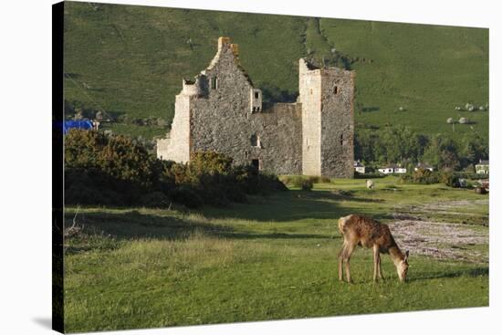 Lochranza Castle, Arran, North Ayrshire, Scotland-Peter Thompson-Stretched Canvas