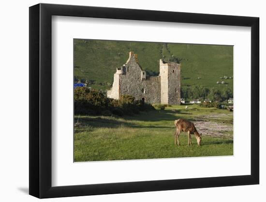 Lochranza Castle, Arran, North Ayrshire, Scotland-Peter Thompson-Framed Premium Photographic Print