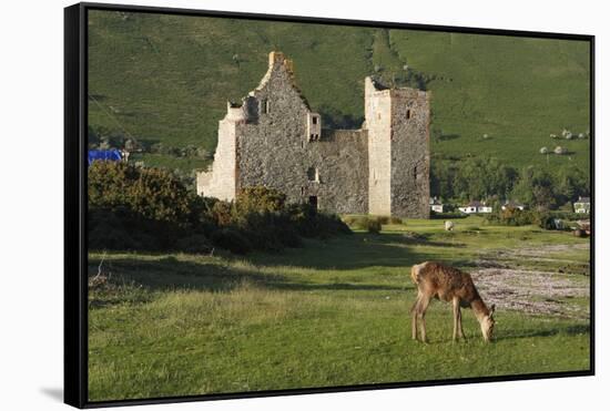 Lochranza Castle, Arran, North Ayrshire, Scotland-Peter Thompson-Framed Stretched Canvas