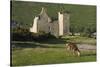 Lochranza Castle, Arran, North Ayrshire, Scotland-Peter Thompson-Stretched Canvas