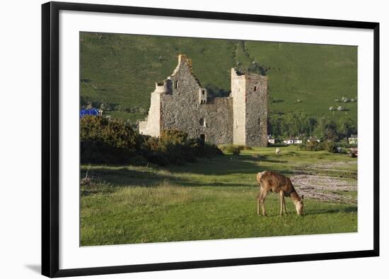 Lochranza Castle, Arran, North Ayrshire, Scotland-Peter Thompson-Framed Photographic Print