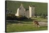 Lochranza Castle, Arran, North Ayrshire, Scotland-Peter Thompson-Stretched Canvas