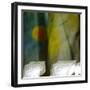 Lochside-Valda Bailey-Framed Photographic Print