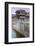 Lock and Dam Control Tower and Gate-jrferrermn-Framed Photographic Print